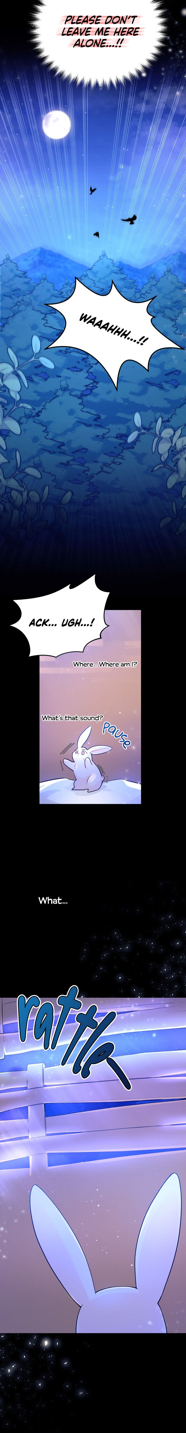 A Symbiotic Relationship Between A Rabbit And A Black Panther - Chapter 1 Page 10
