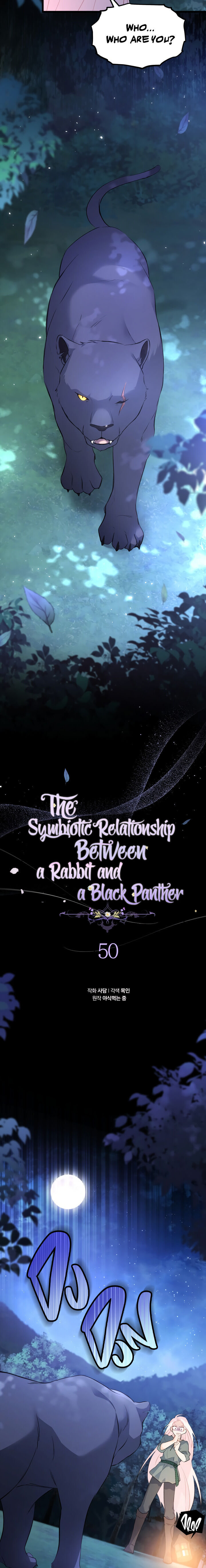The Symbiotic Relationship Between A Rabbit and A Black Panther - Chapter 50 Page 7