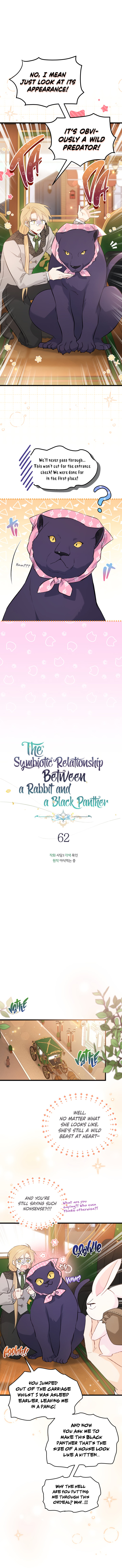 The Symbiotic Relationship Between A Rabbit and A Black Panther - Chapter 62 Page 4
