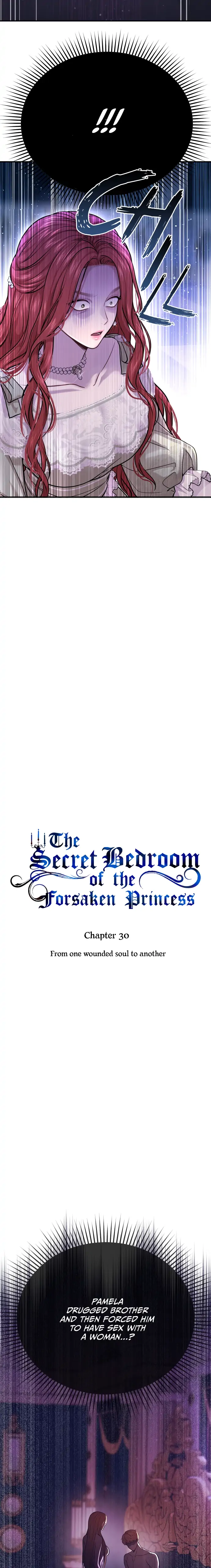 The Secret Bedroom of the Forsaken Princess - Chapter 30 Page 3