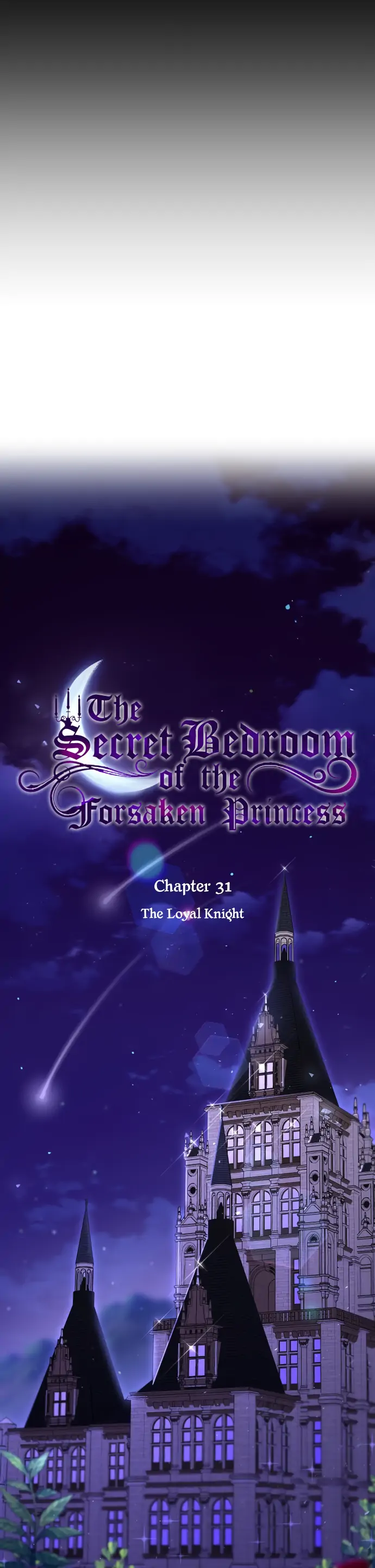 The Secret Bedroom of the Forsaken Princess - Chapter 31 Page 9